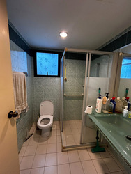 Central Green Condominium (D3), Condominium #580472581